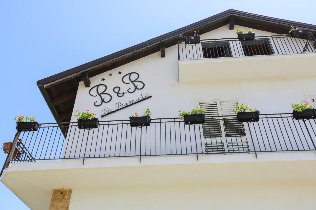 B&B La Primula Piazza Armerina Ngoại thất bức ảnh